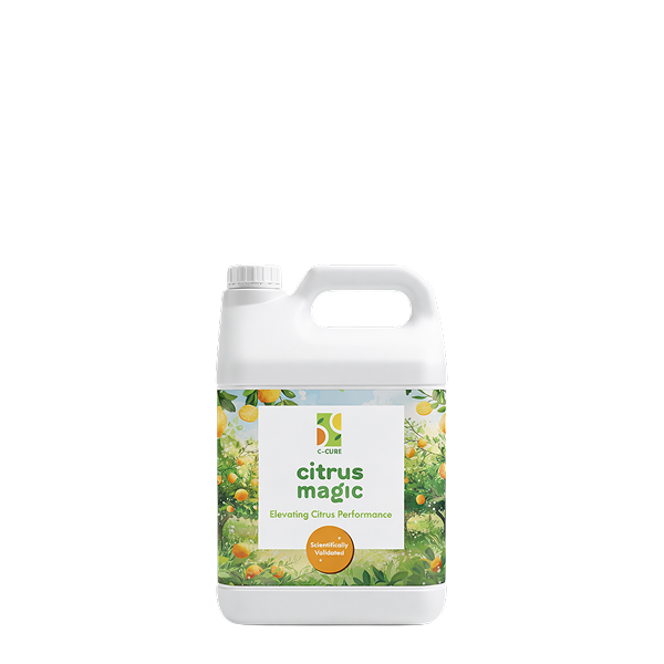 C-Cure™ Citrus Magic 1 qt (32 fl oz / 946 mL)
