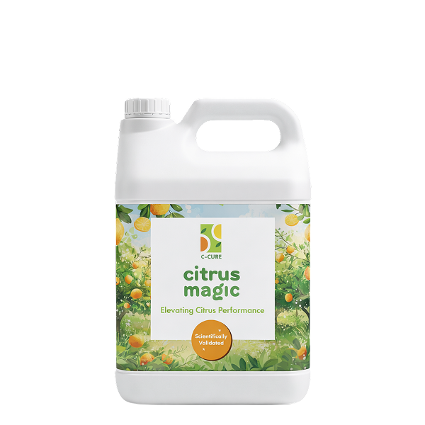 C-Cure™ Citrus Magic 1 Gallon