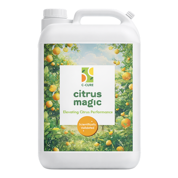 C-Cure™ Citrus Magic 5 Gallon
